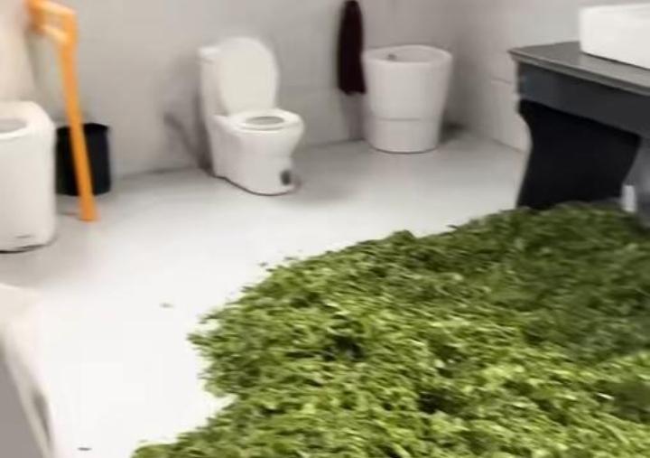 松阳公厕晒茶青！11公斤干茶封存，传统制茶岂能无卫生底线
 
丽水松阳竟曝出茶农