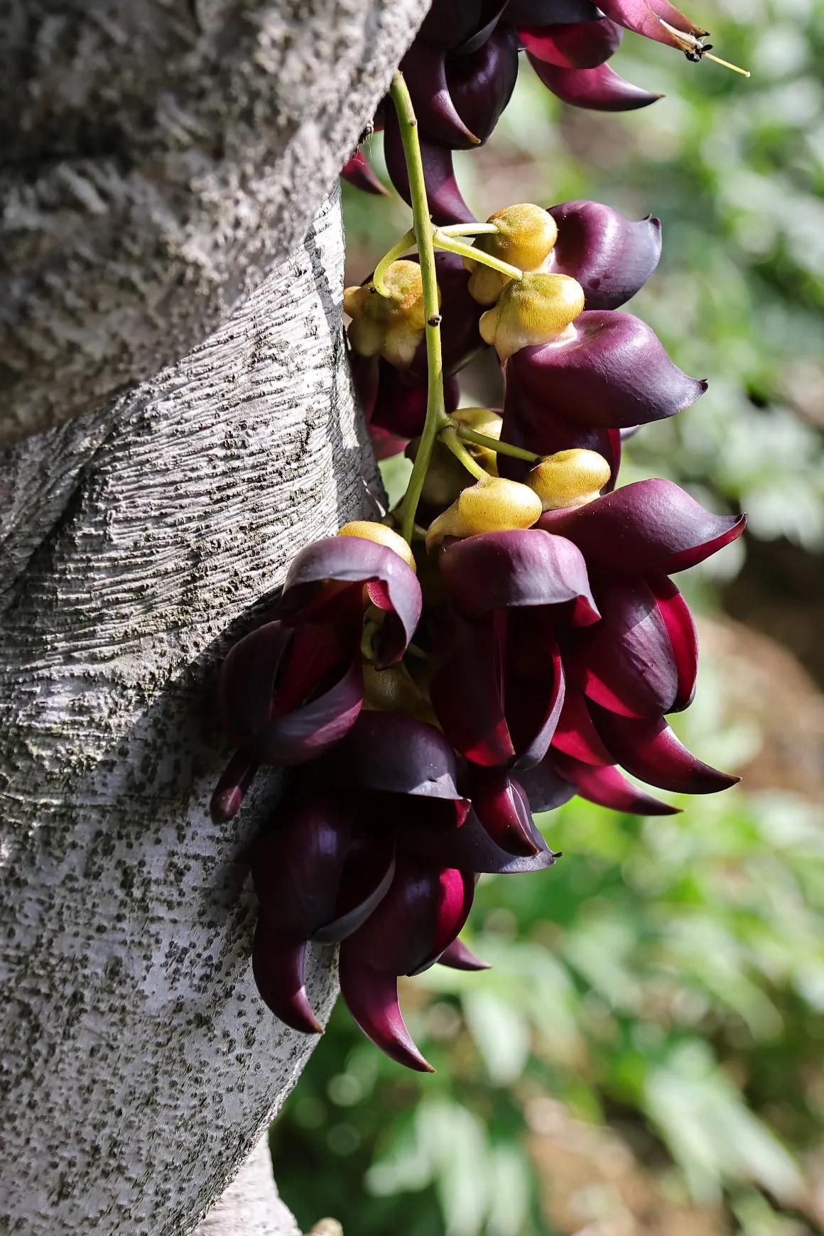 春风拂面，花开正好，人间温柔，未来可期。把春天的温柔，都装进日常的小美好里。不负