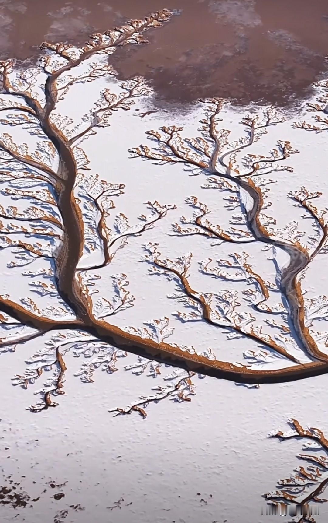 我觉得这样挺好，美国爱当老大让他当呗，我们过好日子就好，我不同意蔡博士对中国房地