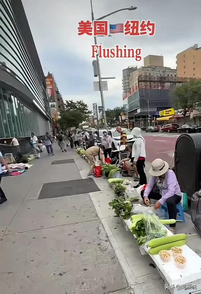按理说，都能去美国的华人经济不会差吧？但为啥出来摆摊卖菜？因为普通人不能移民，费