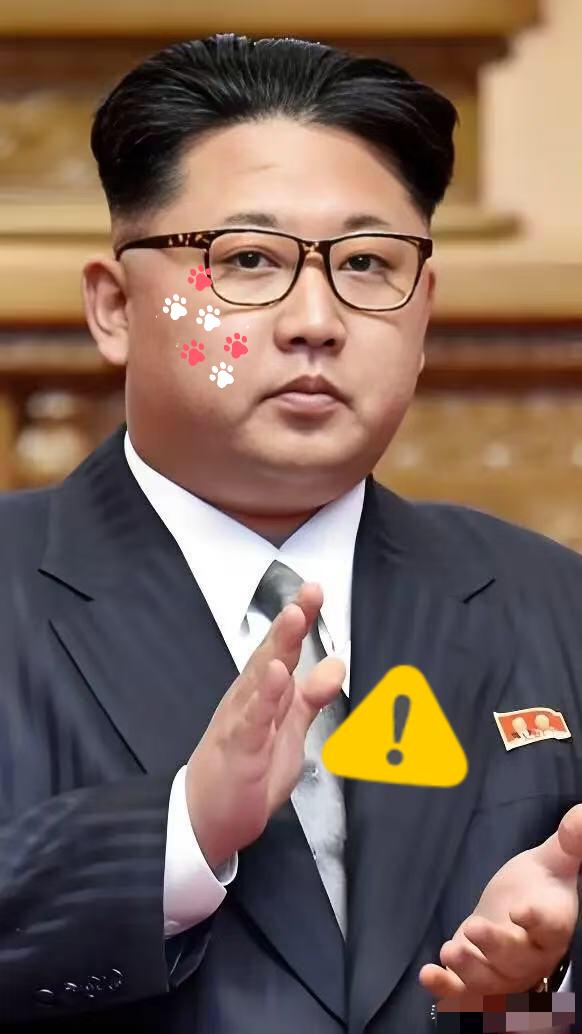 就在刚刚！
朝鲜宣布了
10月29日消息，朝鲜导弹总局28日在西部海域试射了海对