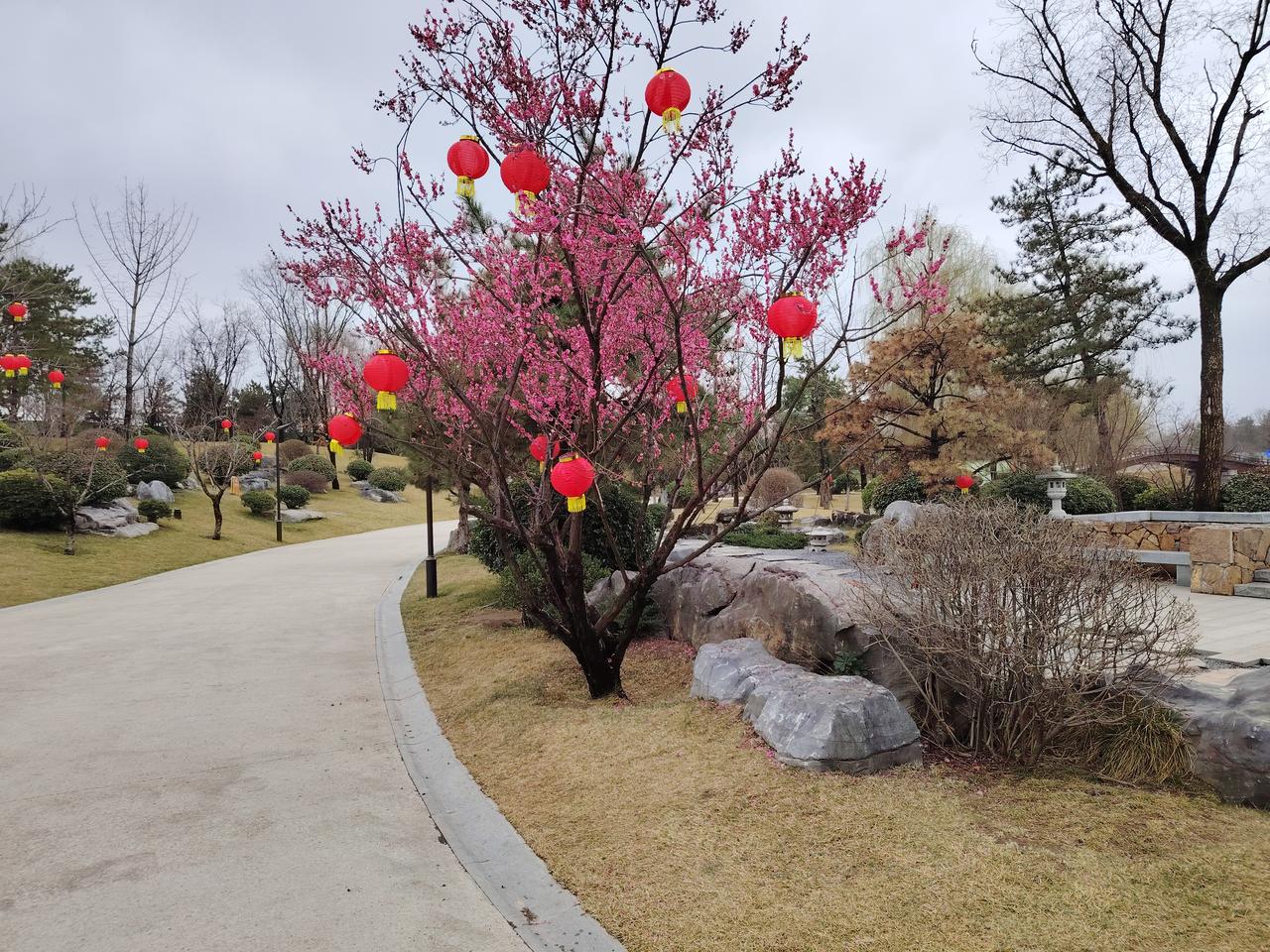 在教师的职业字典里，有时“被看见”比“被考核”更重要。当管理的逻辑从冰冷的硬性指