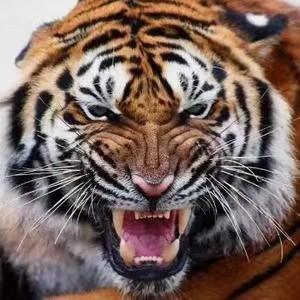 农民工三哥捡漏维修