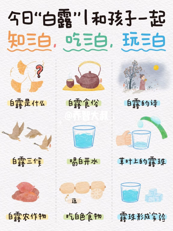 今日白露，给孩子讲讲关于白露的节气小知识
