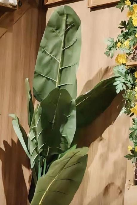 木心先生有句说得特别好的话：“生活的最佳状态是冷冷清清的风风火火。”这话把现在不