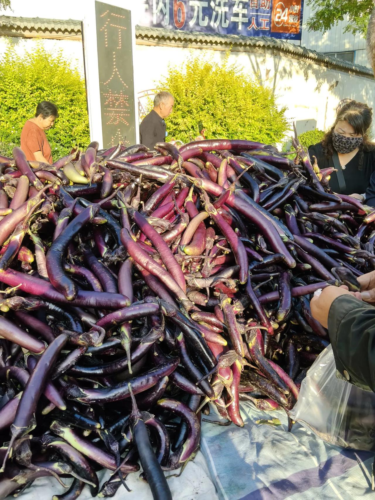 兰州的茄子大量上市了，我也比前一阵便宜了很多。
今天去了枣林路市场，有一个商贩拉