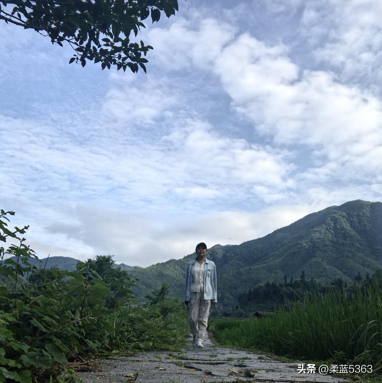 进山了，一直向前，有山泉声，有小鸟和蝴蝶飞来，很低，就在头顶和耳旁。

走向山脚