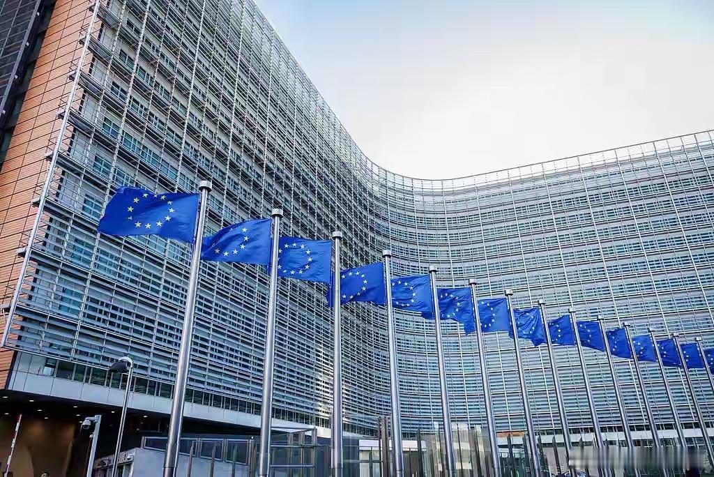 德国、法国、加拿大、意大利、英国等发表联合声明欧洲理事会、欧盟委员会、德国、法国