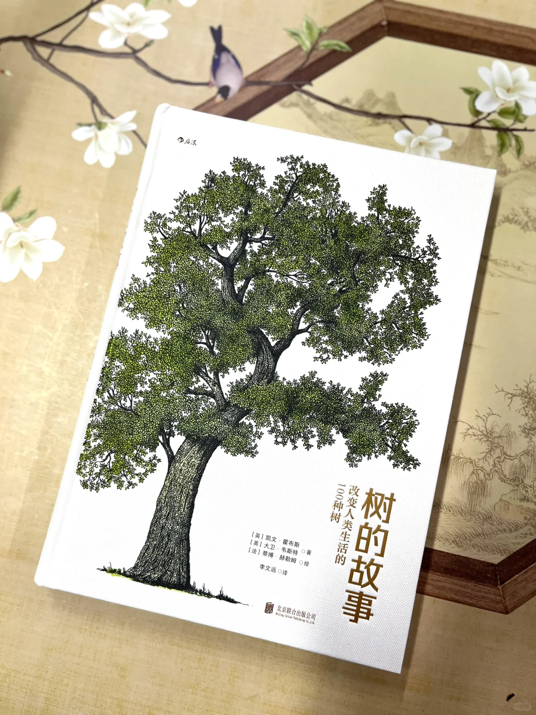 一眼亿年的视觉之旅，100种树的知识盛宴