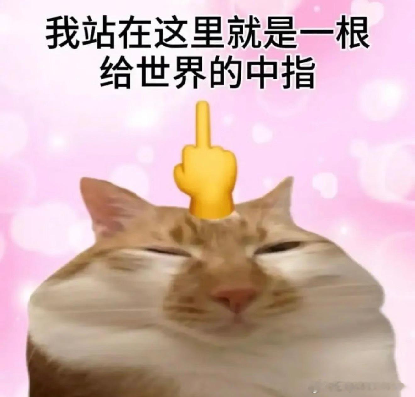 你到底能不能行，bug怎么还没完全修好，赔我点ydl吧