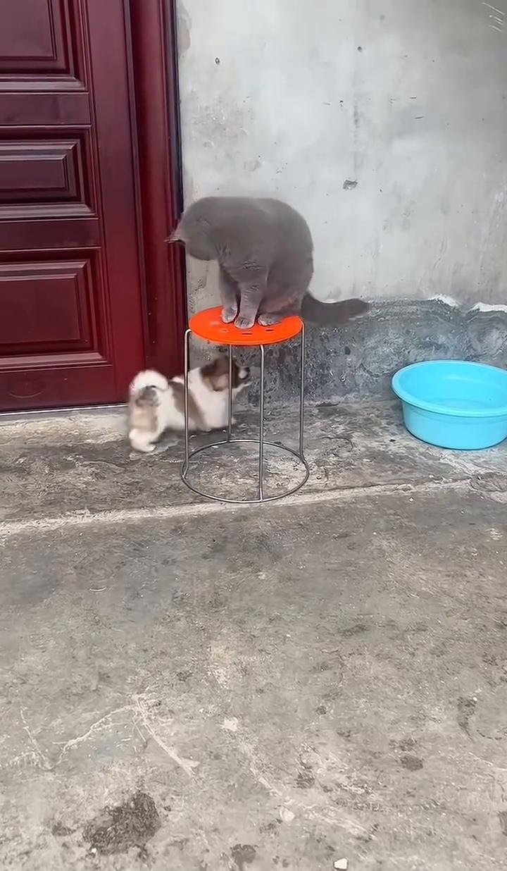 上不去，冲呀！冲！