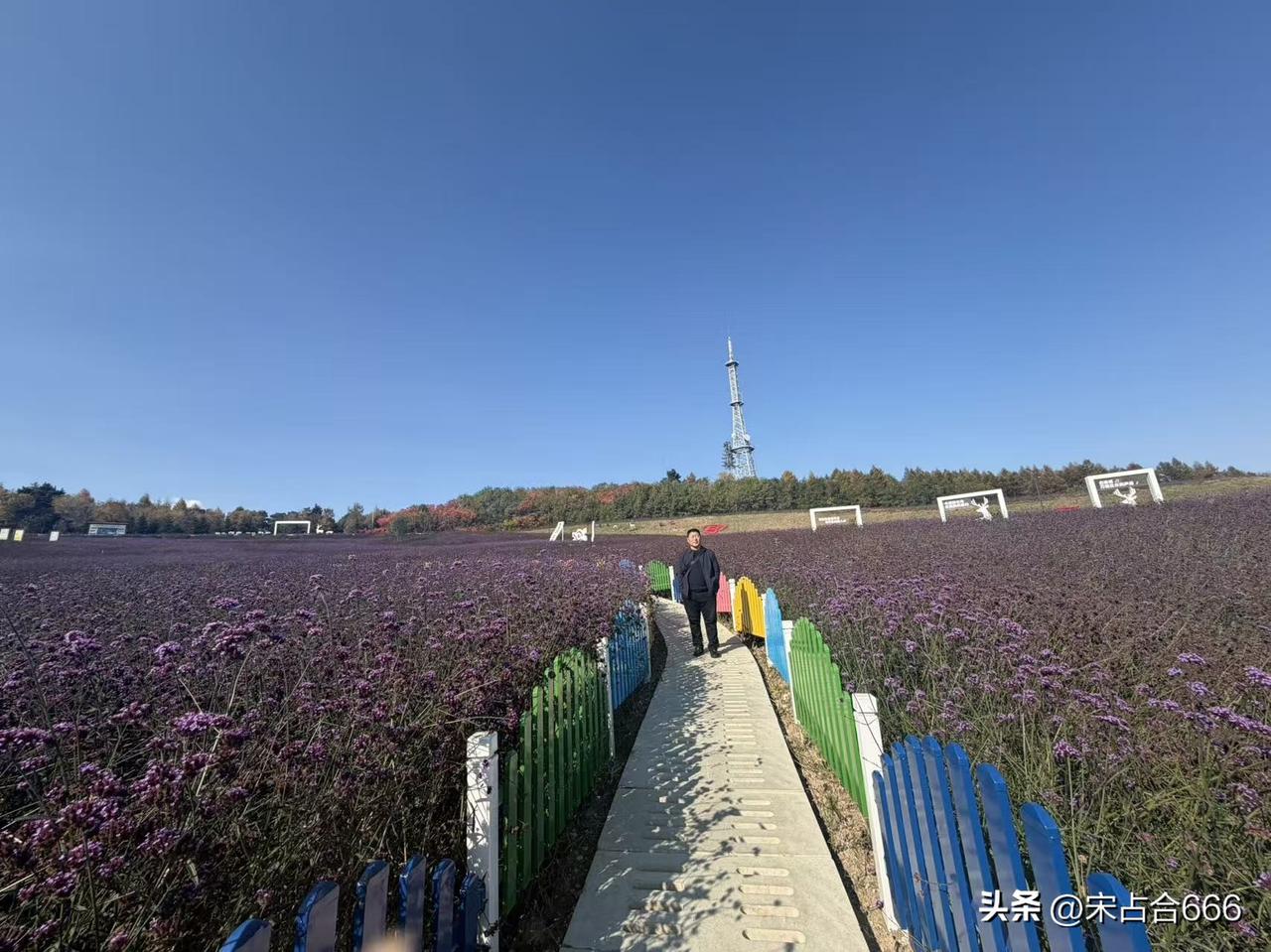 我之所以每日都写头条文字，而且收益廖廖，皆因爱好。我知道我的文字很浅薄，也很无聊