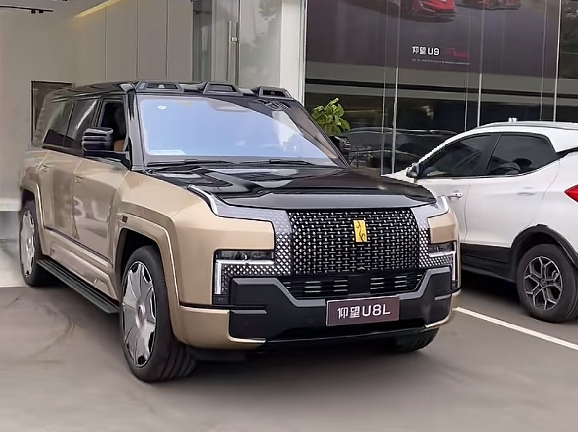 仰望U8L大金标，真是美得冒泡泡 ​​​