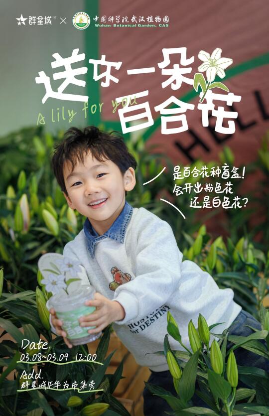 送你一朵百合花🪴解锁妇女节的浪漫花事💐