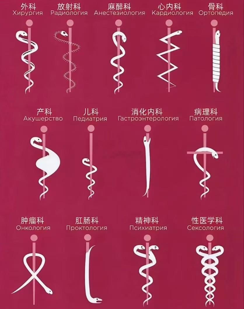 摩羯座更极端一点，是那种连周末懒觉都安排进计划表里的人。他不是紧张，而是太明白“