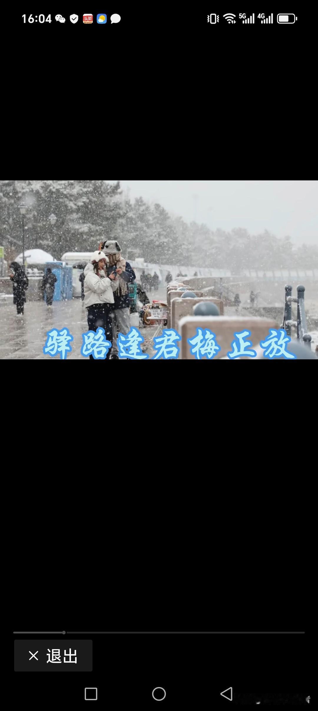 驿路逢君梅正开
来去共舞雪飘飘