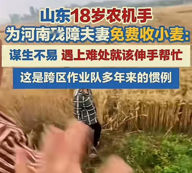 河南南阳，一名18岁的山东农机手于朝乐在帮忙收割小麦时，发现麦地女主人全程沉默不