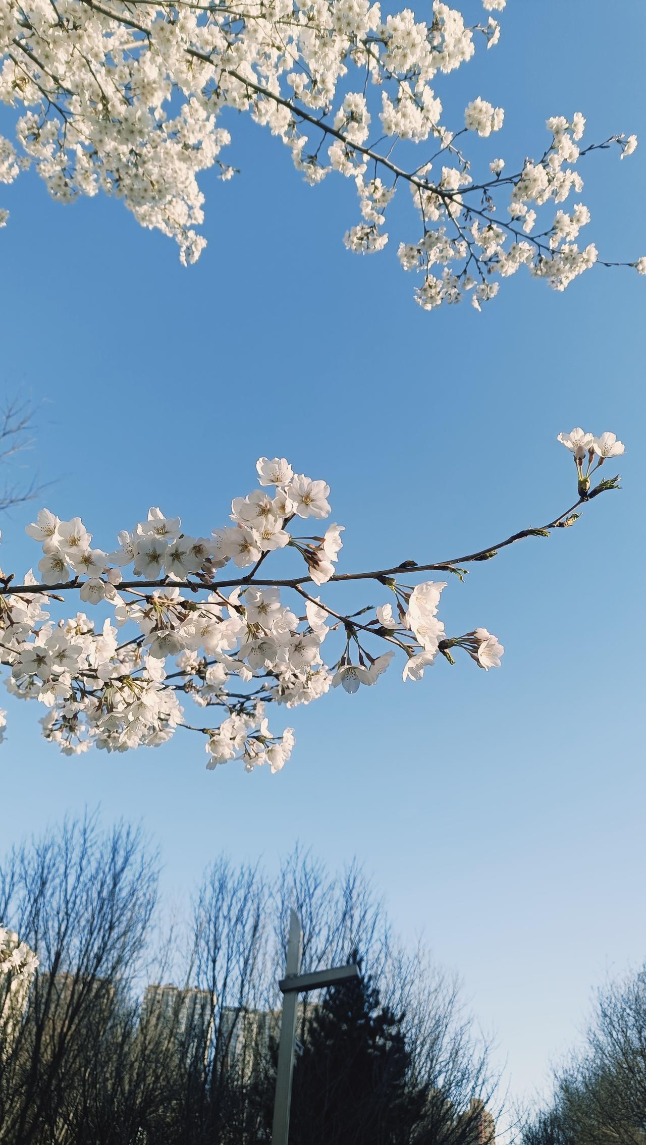 发一张照片看看你获得的最高奖励