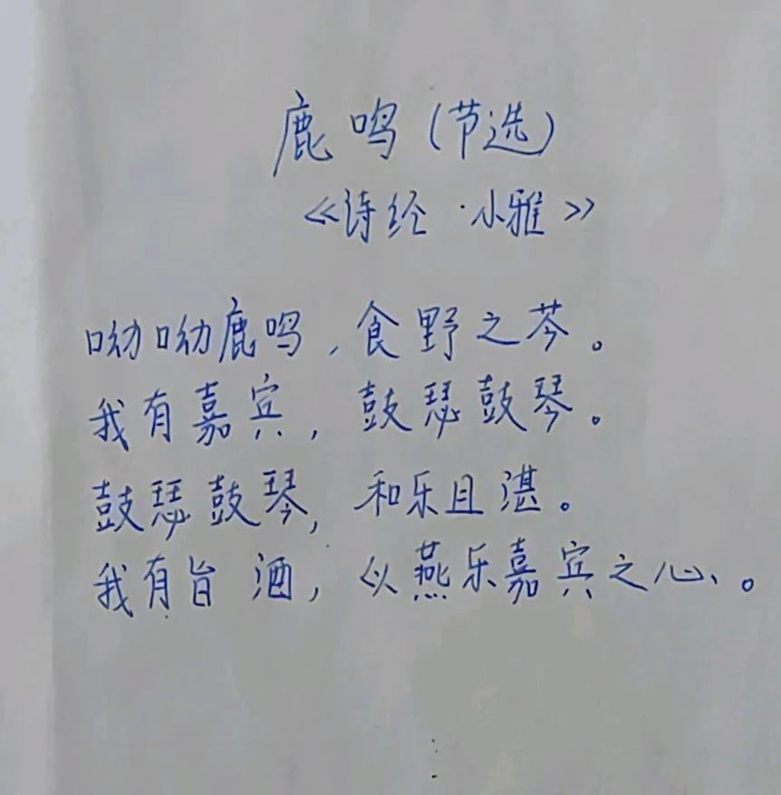 第35天，除夕快乐！[玫瑰][玫瑰][玫瑰]