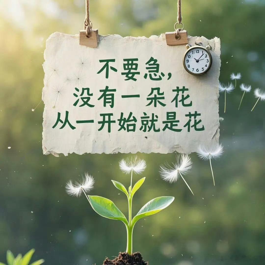 人随夏好 夏如人意 诸事皆顺利！ 