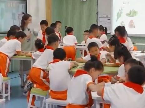 【2025年小学教师减少13.19万，多地加快推进小班化教学】
        