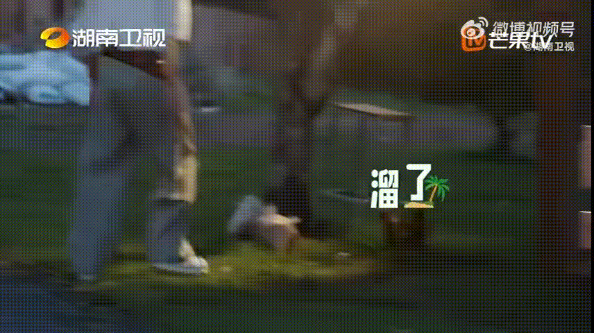 王俊凯抓鸡快准狠王俊凯抓鸡也是一把好手 画面反差感直接拉满，平日里温柔安静的王俊