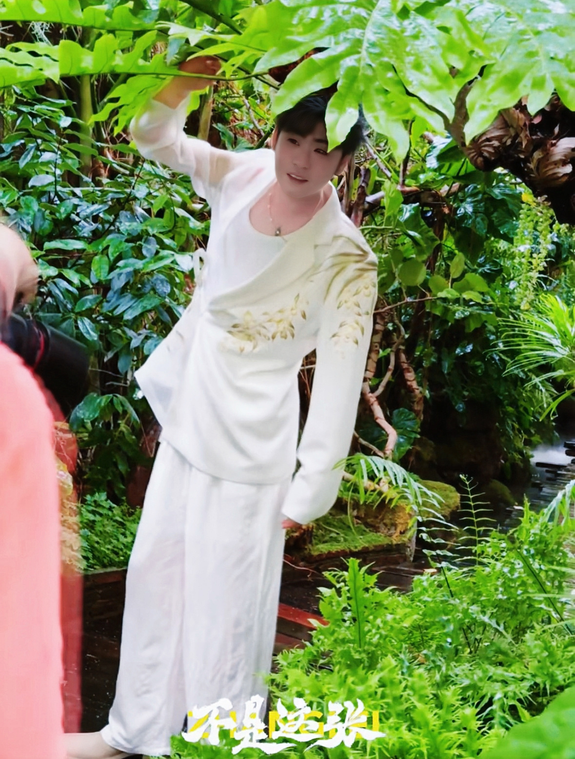 被绿意环绕清新治愈的小辫鹅真的是非常期待这次的旅游日记了