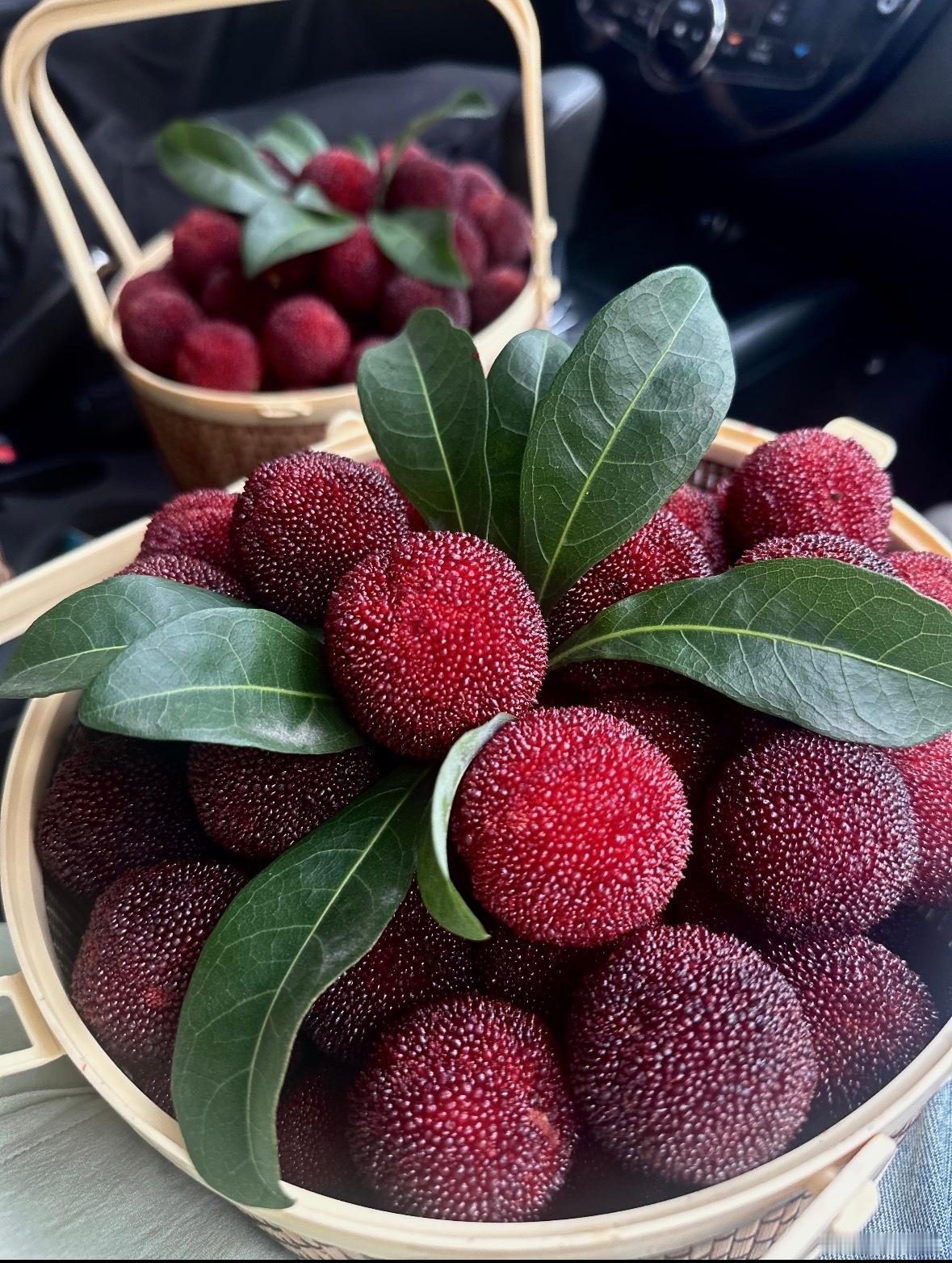 跨国美味赛跑正式开跑！山间杨梅乘物流航班远行，海外食客一口沦陷浙江专属果香，咱这