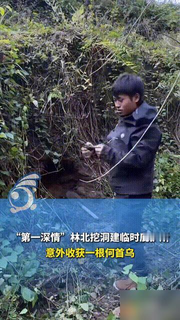 英雄所见略同！决赛圈第一天，找不到合适庇护所的建哥，选择了跟林北同样的策略，挖洞