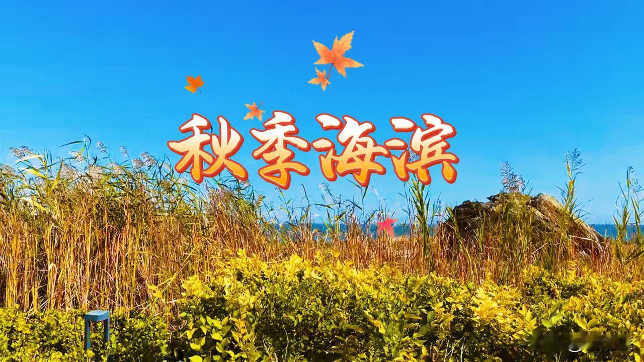 拍一张最美的海