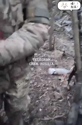 缴获乌军的便携电子战装备。扎波罗热前线，一队俄军在经过激烈战斗后，占领乌军的树林