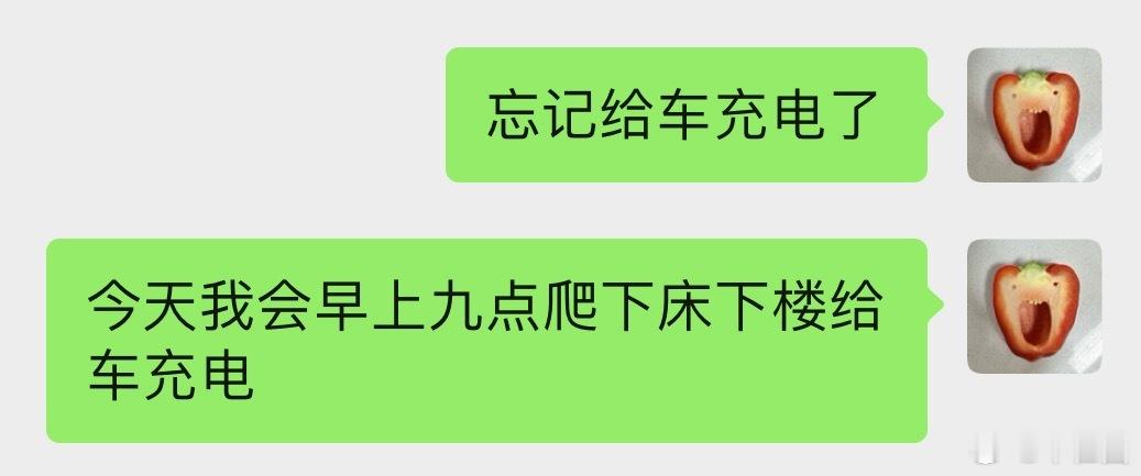 朋友要来武汉找我玩几天。我的电驴必须充满电备战！ 