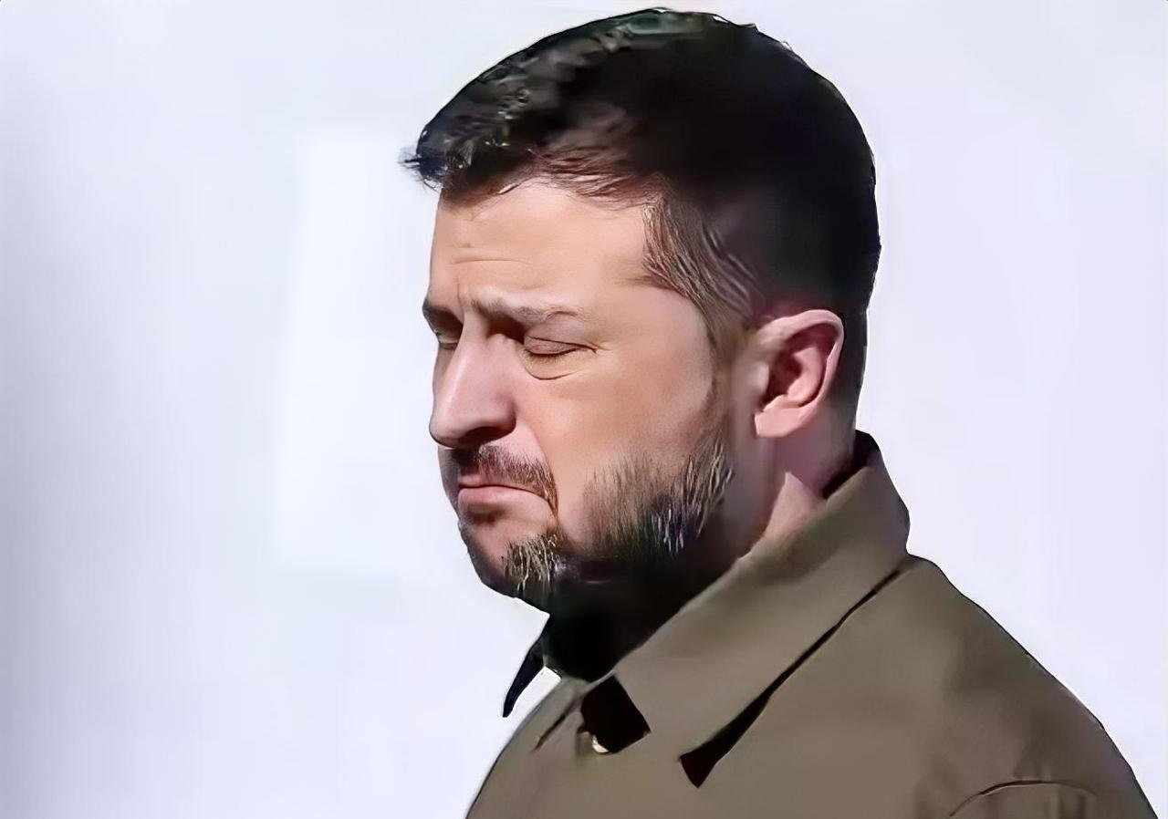 泽连斯基心都凉了！昨天，在匈牙利国会选举中获胜的蒂萨党主席毛焦尔表示:乌克兰加入