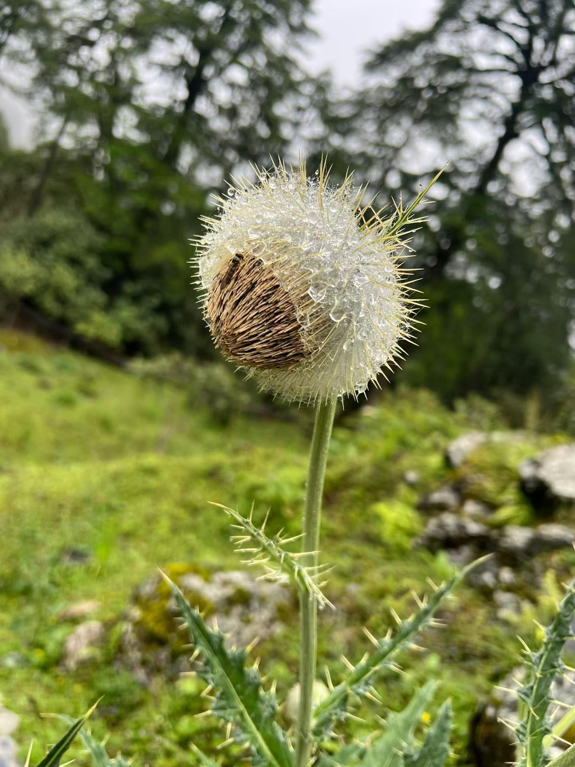 我的今日状态：😁轻松愉快
我这里的天气：☀️晴天