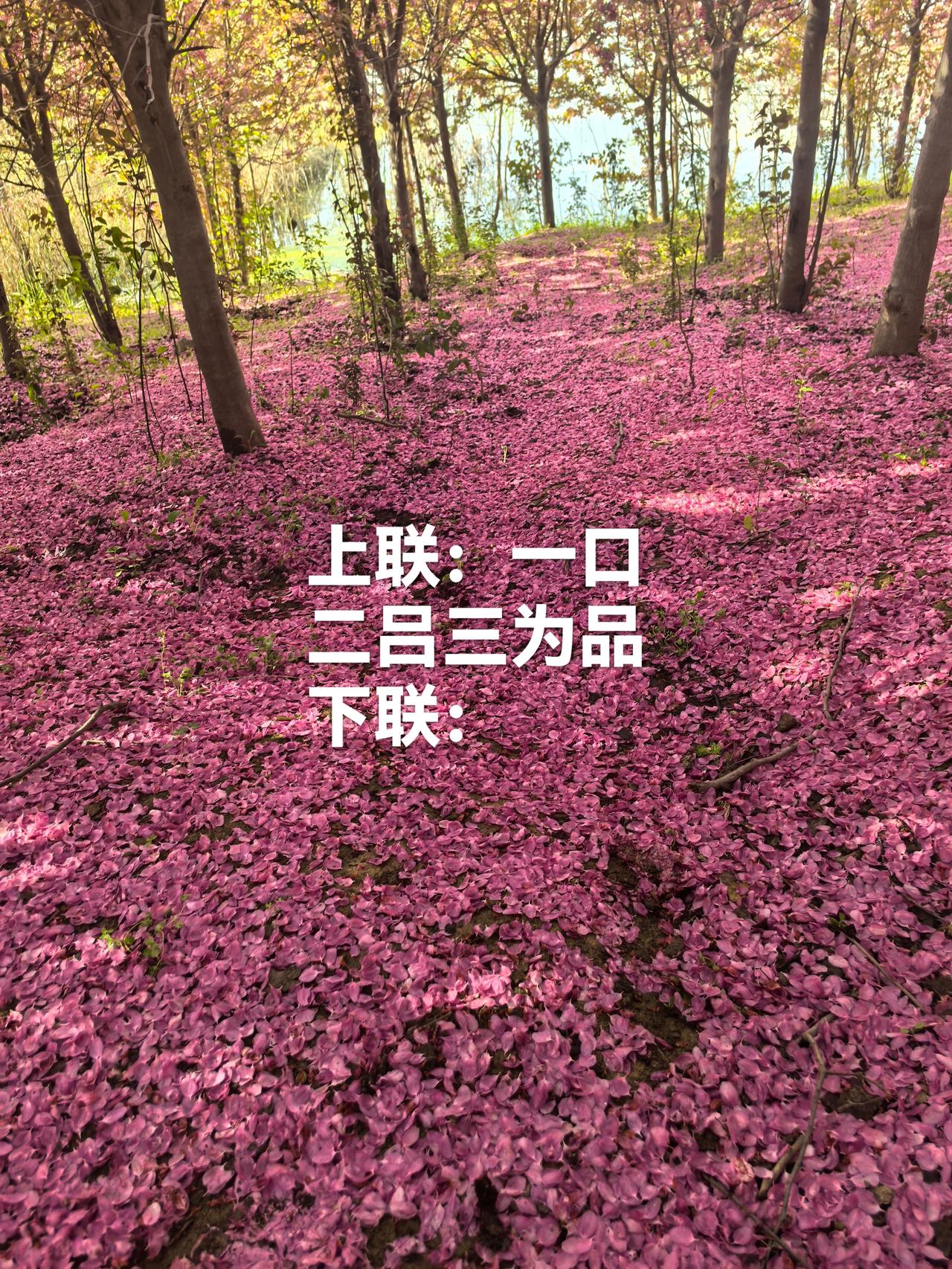 对对联，高手来对[呲牙][呲牙]