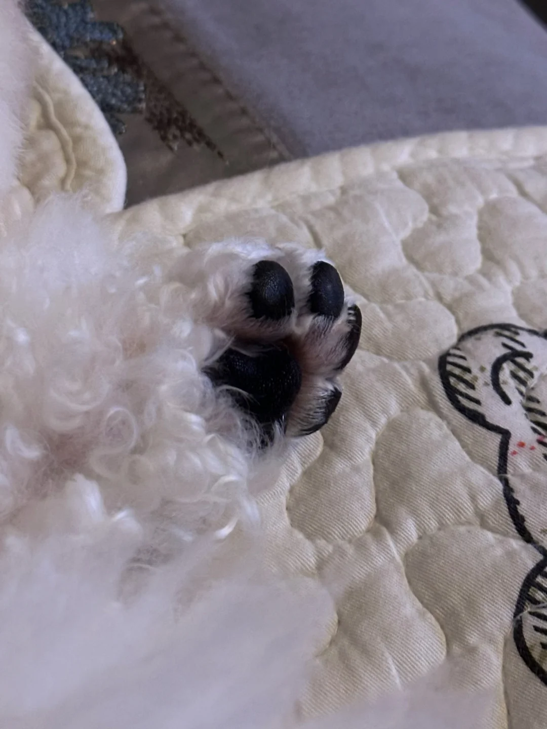 今日要闻 爱闻不闻