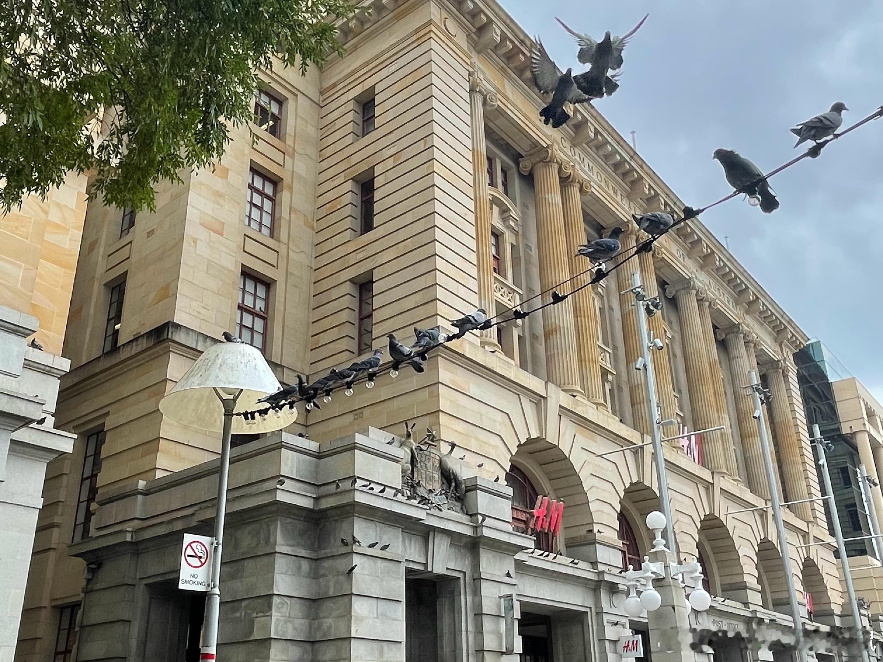 生活手记大半年都没来CBD 了一路走走停停，有惊喜，在图书馆偶遇画展 