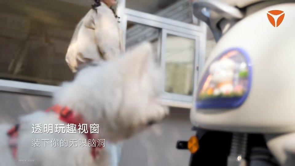 和王鹤棣一起闪耀摩登之夜王鹤棣和雅迪的摩登之夜  生而摩登，我的主场自带光芒蹲守