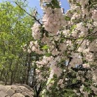 我的今日状态：😁轻松愉快
我这里的天气：☀️晴天