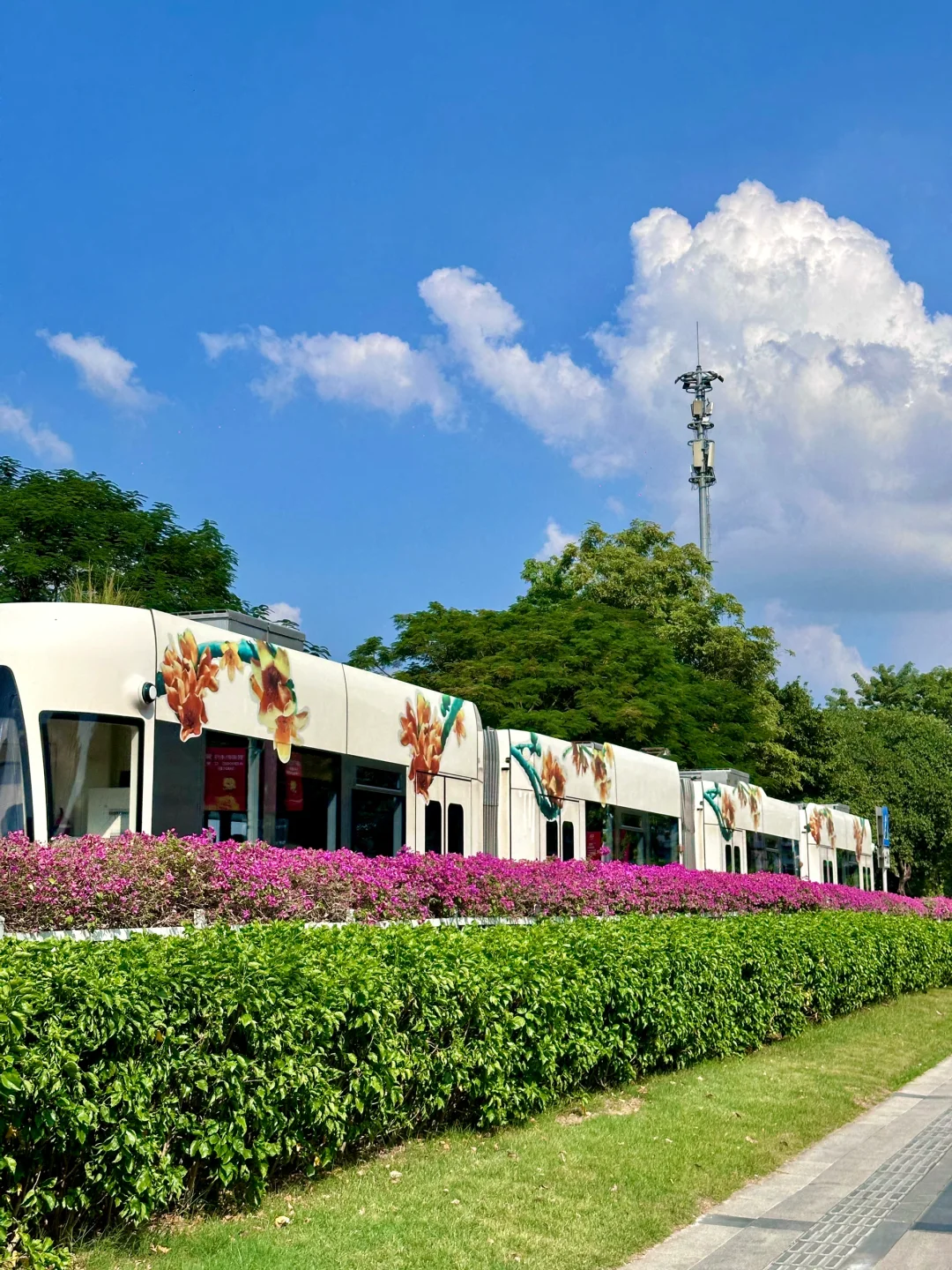 今天广州难得好天气🌞｜10.19