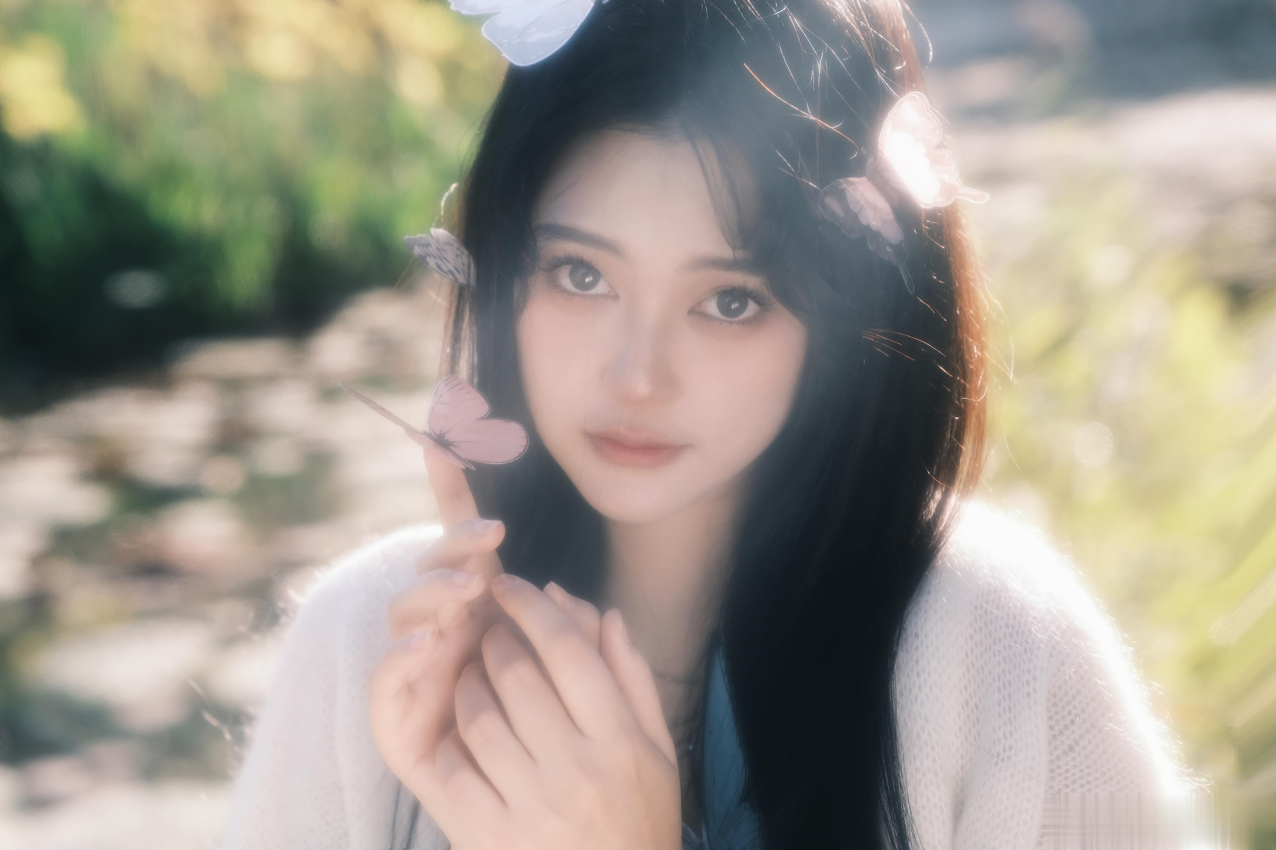 🦋🦋🦋梦见几只蝶 ​​​
