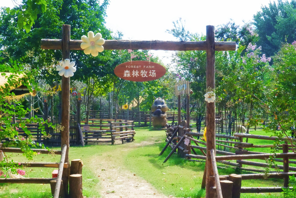 国庆假期烟火浓，菏泽鲁西新区田园文旅解锁近郊休闲新体验
