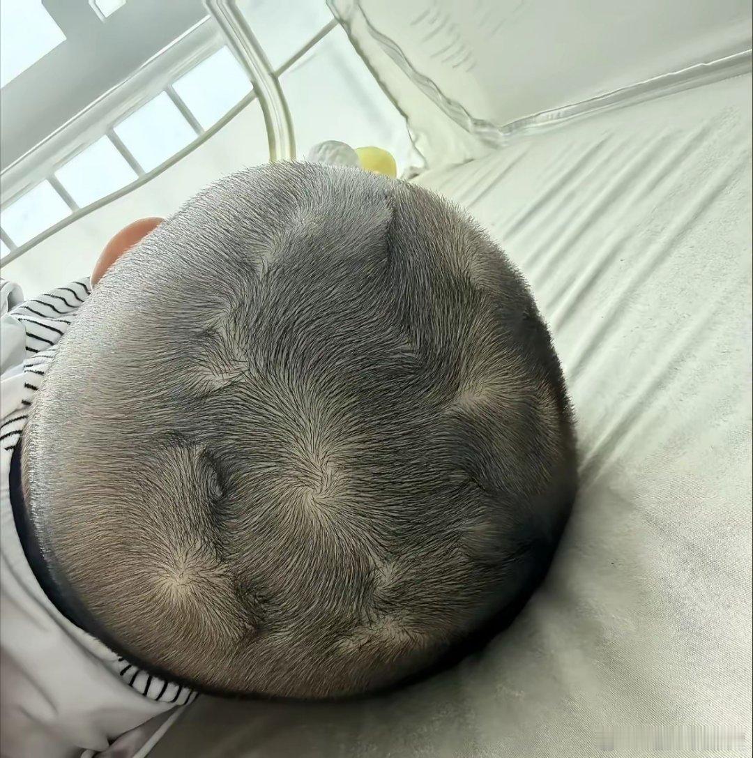 这样的小孩，在你们那里叫做什么？ 