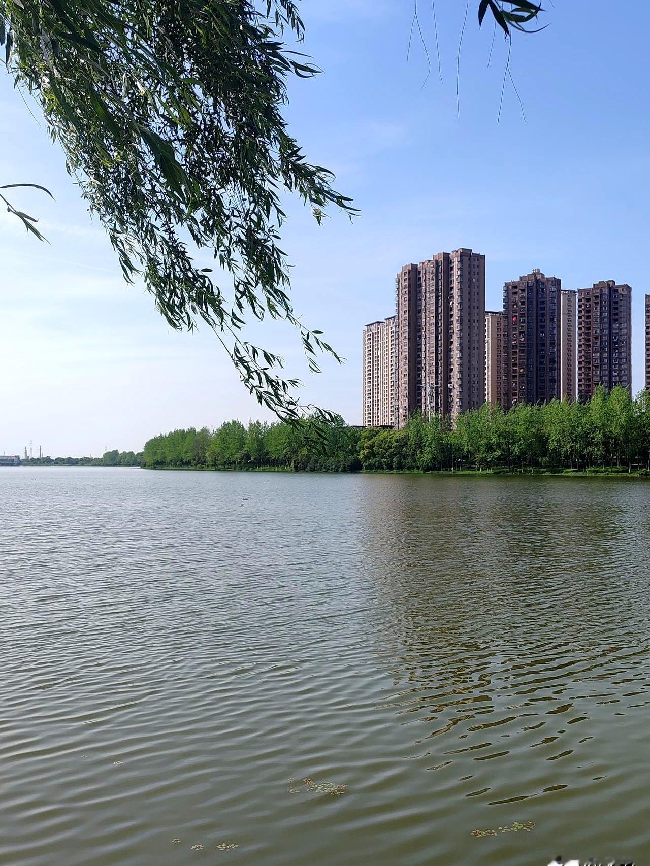 退休证刚到手时，身边人一阵劝：去做保安，管饭不费脑，打发空。
可门岗也未必要人，