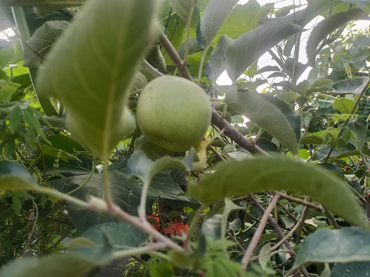 只有与比你弱的，
你才能谈搭手控制，
与你功夫同等水平的玩拳，
既练控制也练挨打
