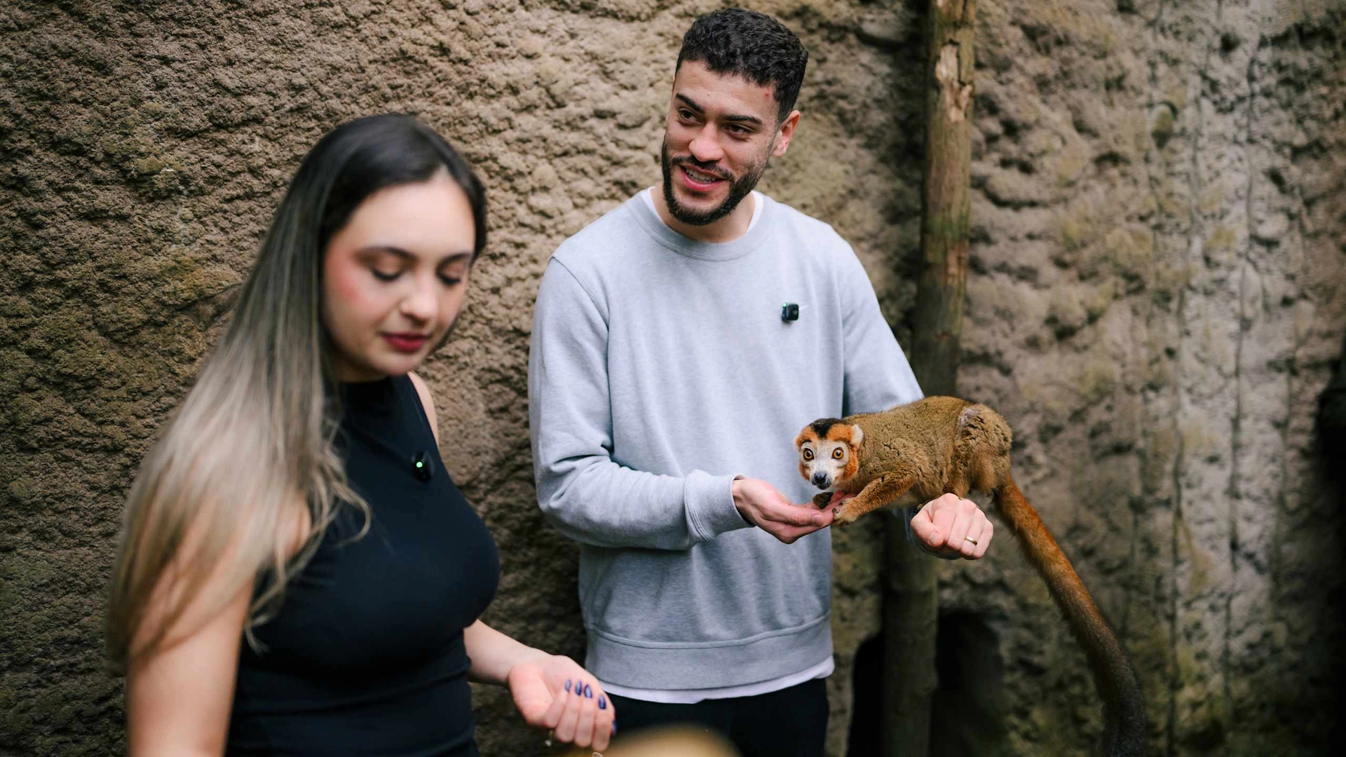 罗穆洛的一天——动物园冒险与合家欢喂狐猴、玩EA FC游戏、展示个人衣柜：RB莱