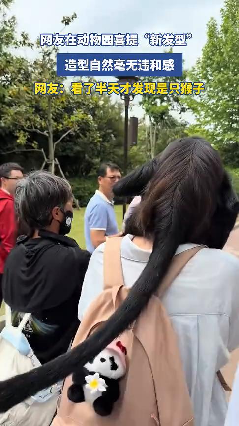 网友在动物园喜提"新发型"，造型自然毫无违和感。
网友：看了半天才发现是只猴子。