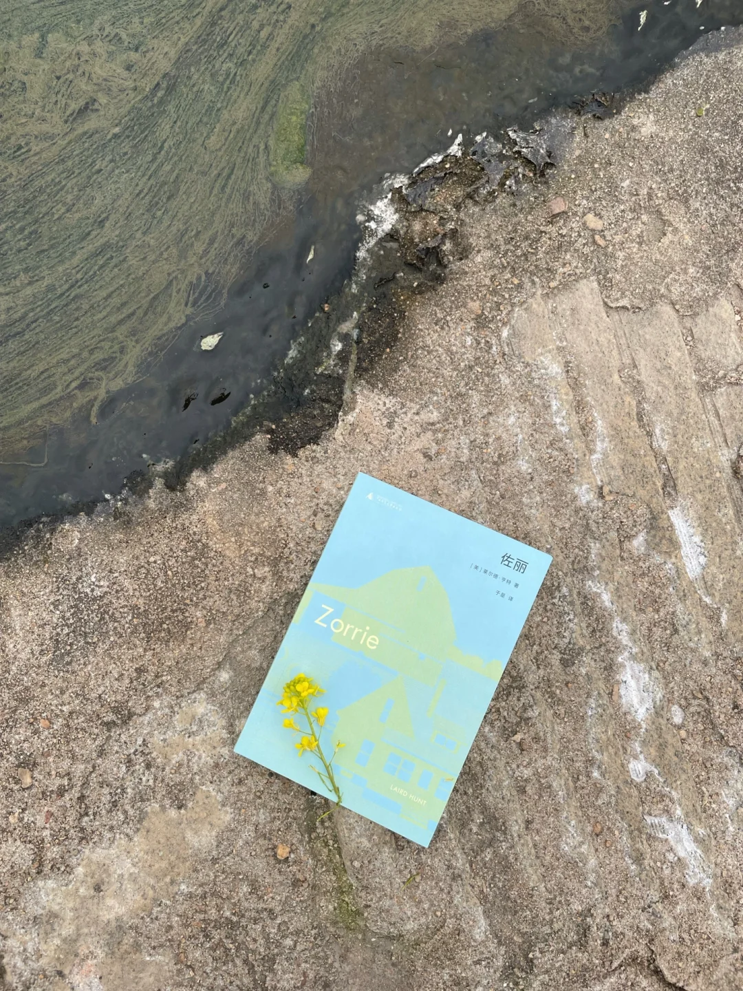 暂停努力，拥抱世界，很快乐～