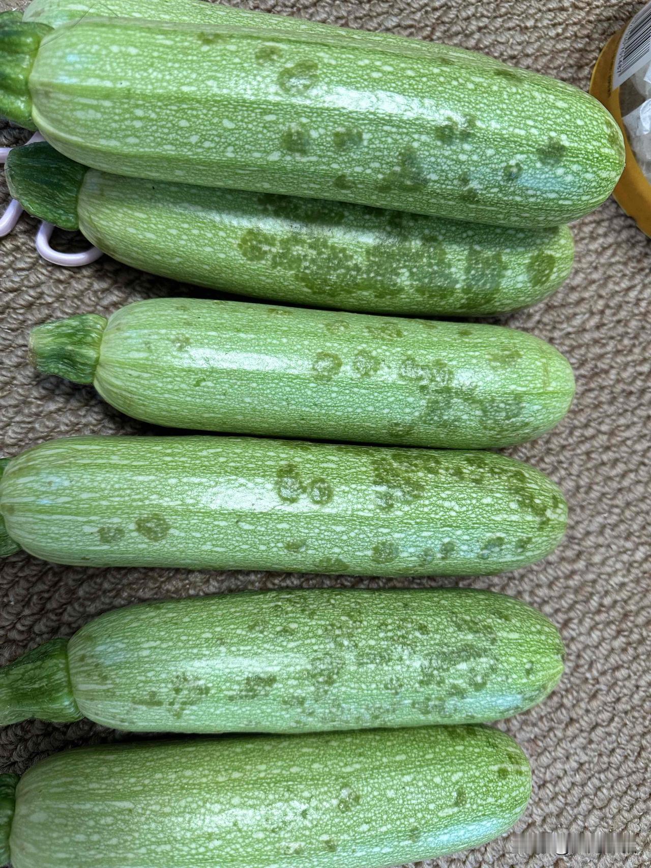 这是前几天花8.5元拼xx买的西葫芦。今天搬回来我一看这么多，感觉简直赚到了，个