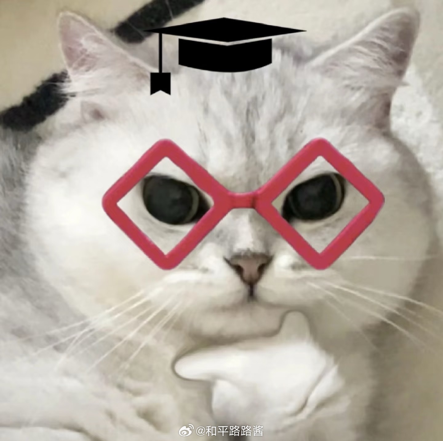 私生活这么干净为什么作息这么乱我猜只要跟手机分房睡就好啦 